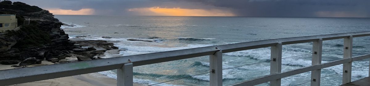 Sydney Perioperative TOE Course